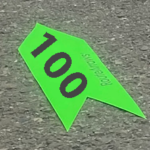 Century Green Arrow