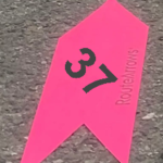 37 Mile Route PINK Arrow